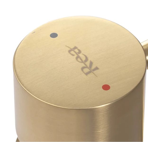 Смеситель для раковины (умывальника) REA TESS BRUSHED GOLD высокий REA-B5660 фото